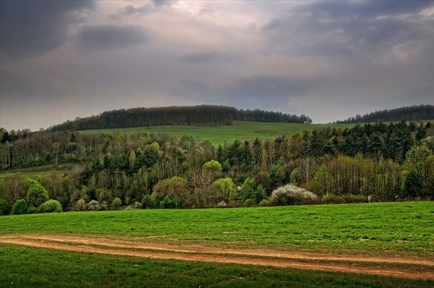 Cestičkou