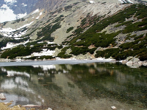 Skalnaté pleso