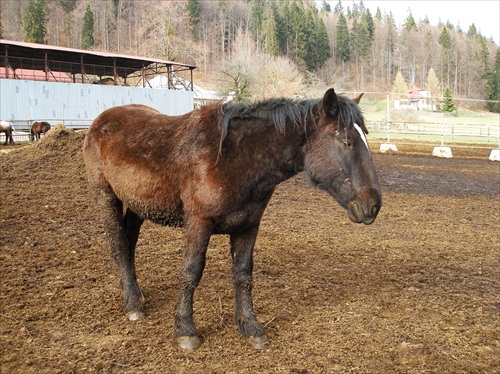 Ufúľaný, a predsa krásny