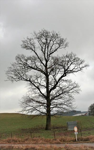 Osamelý....