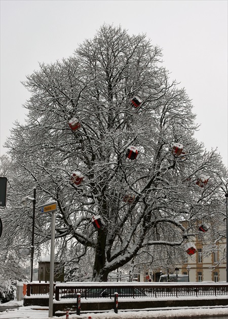 Darčekový strom?