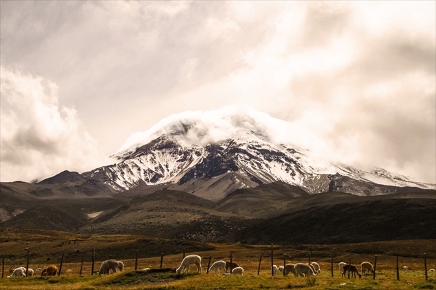 CHimborazo Ecuador