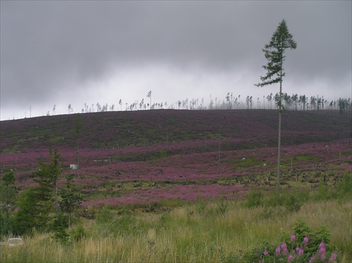 Tatry 2008