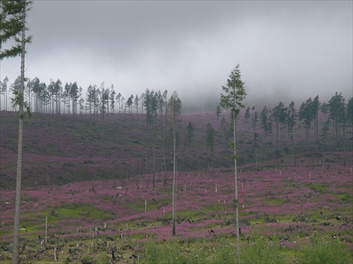 Tatry 2008