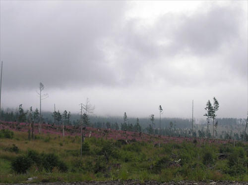 Tatry 2008