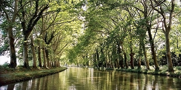 .. Canal du Midi II ...