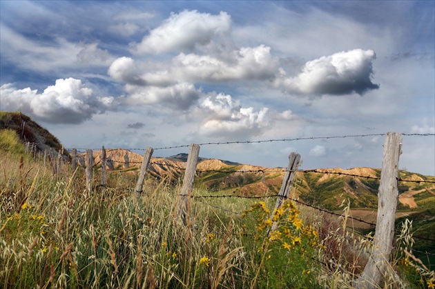 .. Emilia-Romagna ...