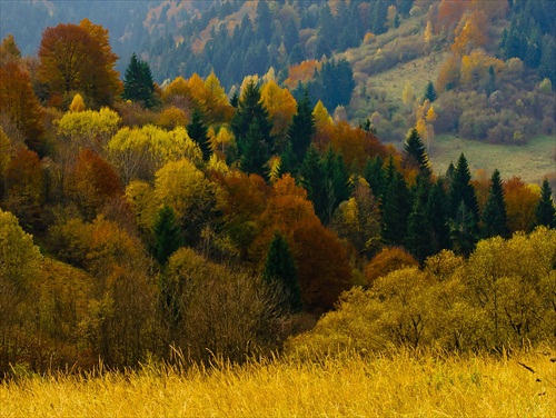 Veľkofatranská jeseň