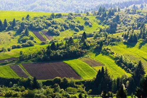 Orava - Skorušinské vrchy IV.