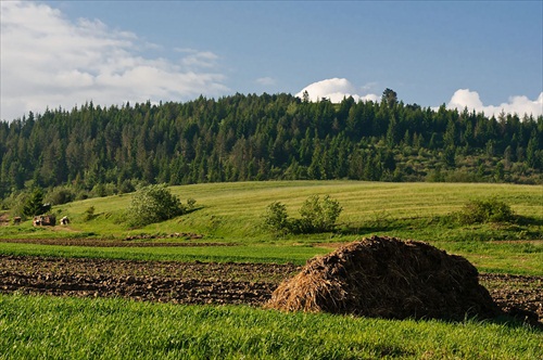 Orava - Skorušinské vrchy V.