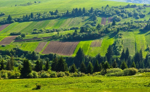 Orava - Skorušinské vrchy VI.