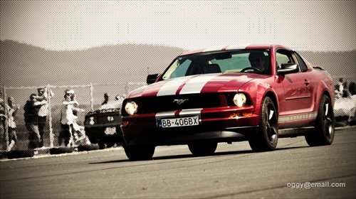 Mustang