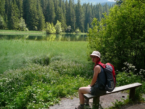 Vrbické pleso