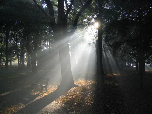 Michalovce,starý park