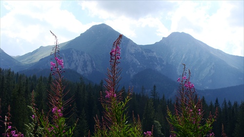 Tatry