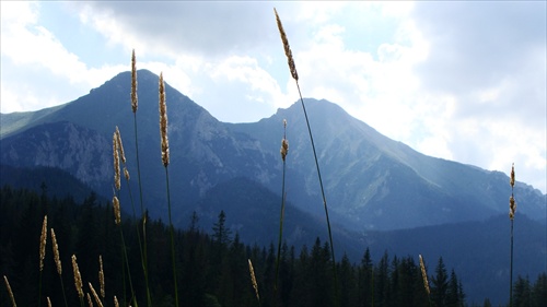 Tatry 2