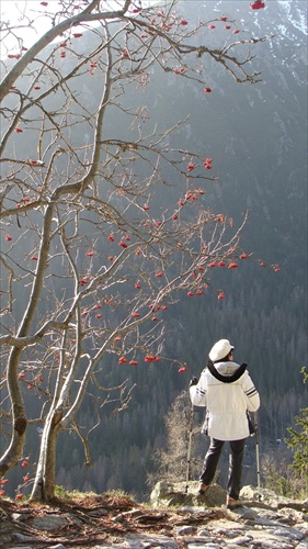 tatry 5