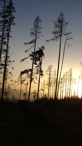 tatry 6