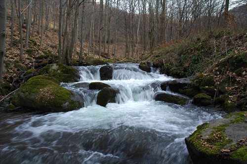 Bystrý potok