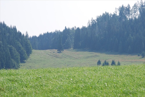 ... a kúsočok- prameň Hnilca.