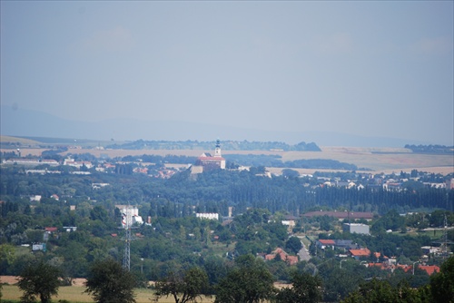 NITRA v zlatom ošatení obilných lánov týchto dní...