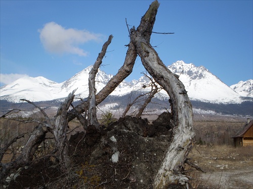 Tatry