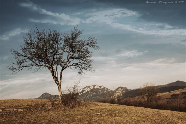 Pieniny