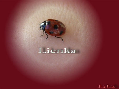 lienka