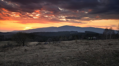 POĽANA