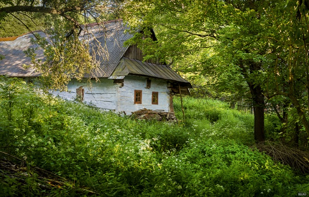 stará drevenica