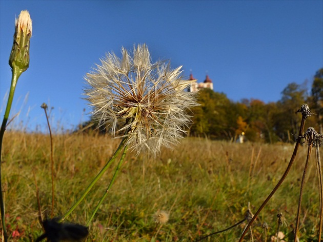 Kalvária