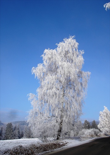 cestou do Olšavice