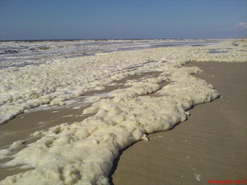 Nordwijk, morska pena