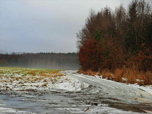 cestička