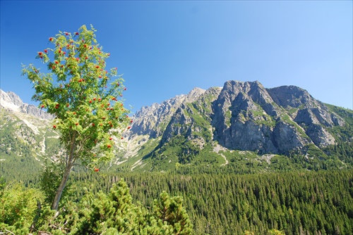 Cestou na Popradské pleso