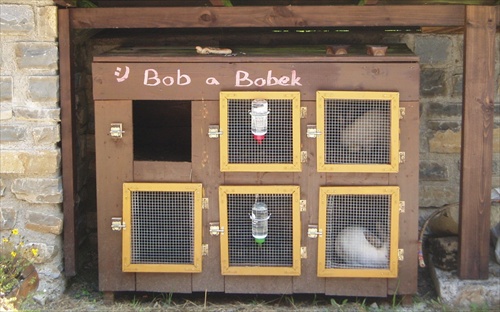 Bob a Bobek