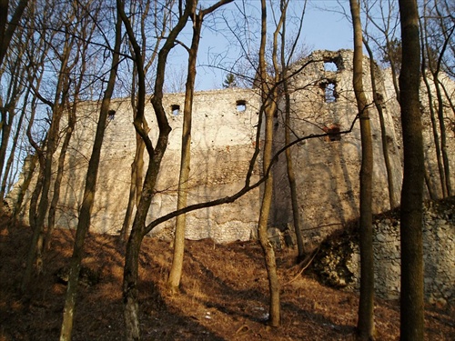 Dobrovodský hrad