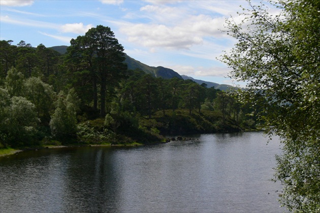 Glen Affric