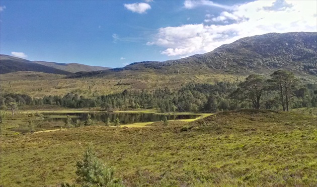 Glen Affric