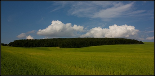 ekologická krajina