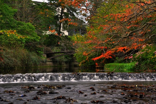 Mount Usher Gardens