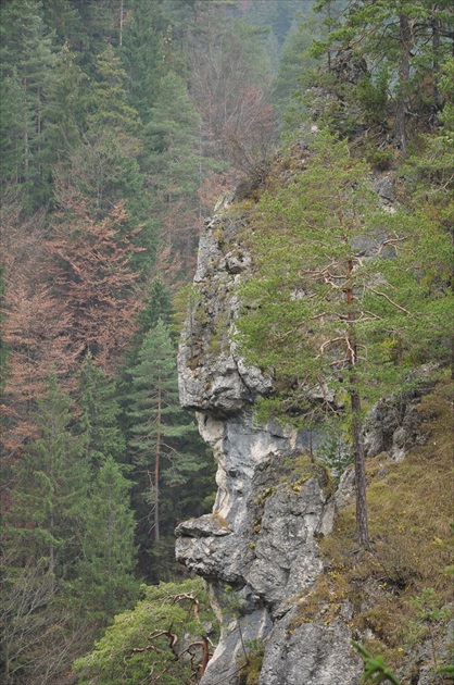 Spomienka na jesen