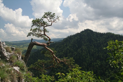 pieniny