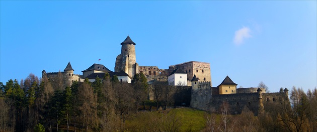 Ľubovniansky hrad