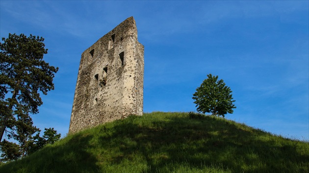 Hrad Dobrá Niva