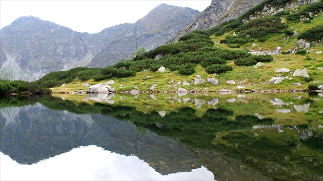 Rohacske pleso