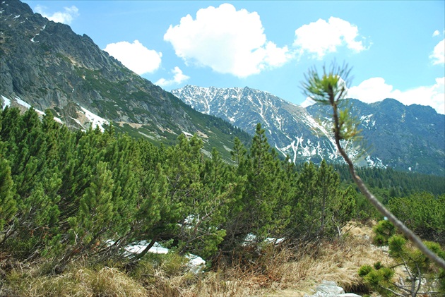 tatry