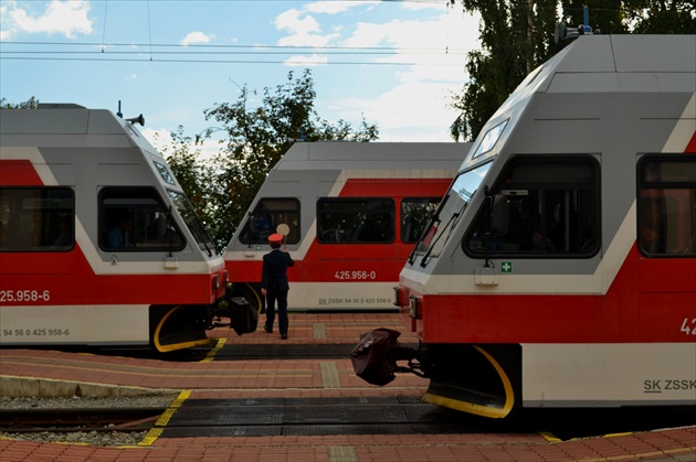 V zajatí pracovných povinností