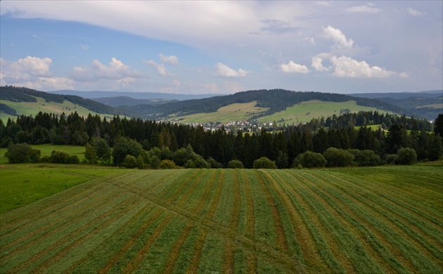 Orava v okolí Zakamenného