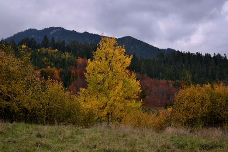 Nízke Tatry